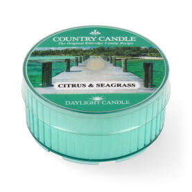 Country Candle Daylight Citrus & Seagrass Duftkerze 42 g