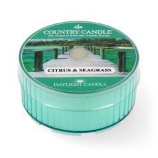 Country Candle Daylight Citrus &amp; Seagrass Duftkerze 42 g