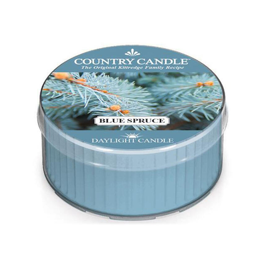 Country Candle Daylight Blue Spruce Duftkerze 42 g