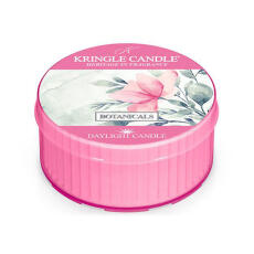 Kringle Candle Daylight Botanicals Duftkerze 42 g
