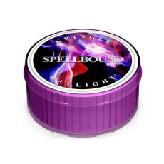 Kringle Candle Daylight Spellbound Duftkerze 42 g