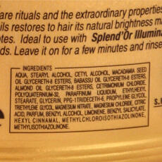 Splend&acute;Or Haarmaske Olio Splendente 500 ml