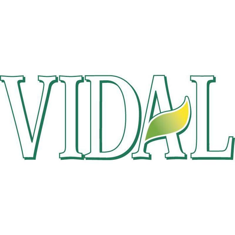 Vidal Shaving Foam Activ Energy 300ml