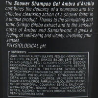 intesa unisex AMBRA DARABIA Duschgel & Shampoo 2in1 12x250ml